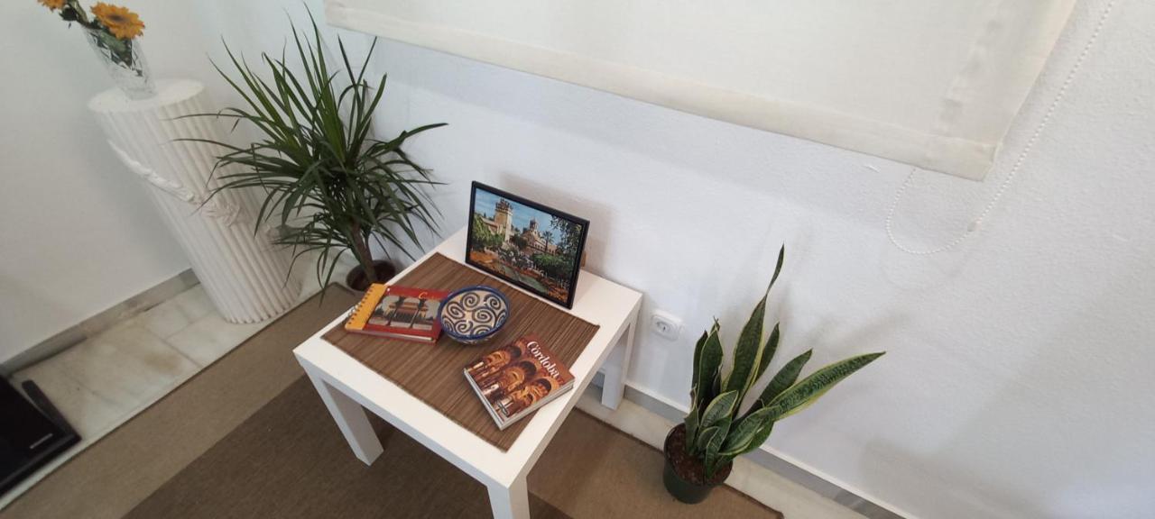 Apartamento Patio Azul Lägenhet Córdoba Exteriör bild